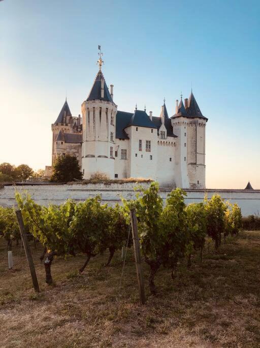 The House Of Celeste Сомюр Экстерьер фото